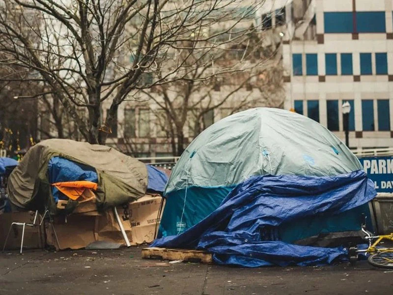 Addressing Security Challenges Posed by Homelessness Addressing Security Challenges Posed by Homelessness